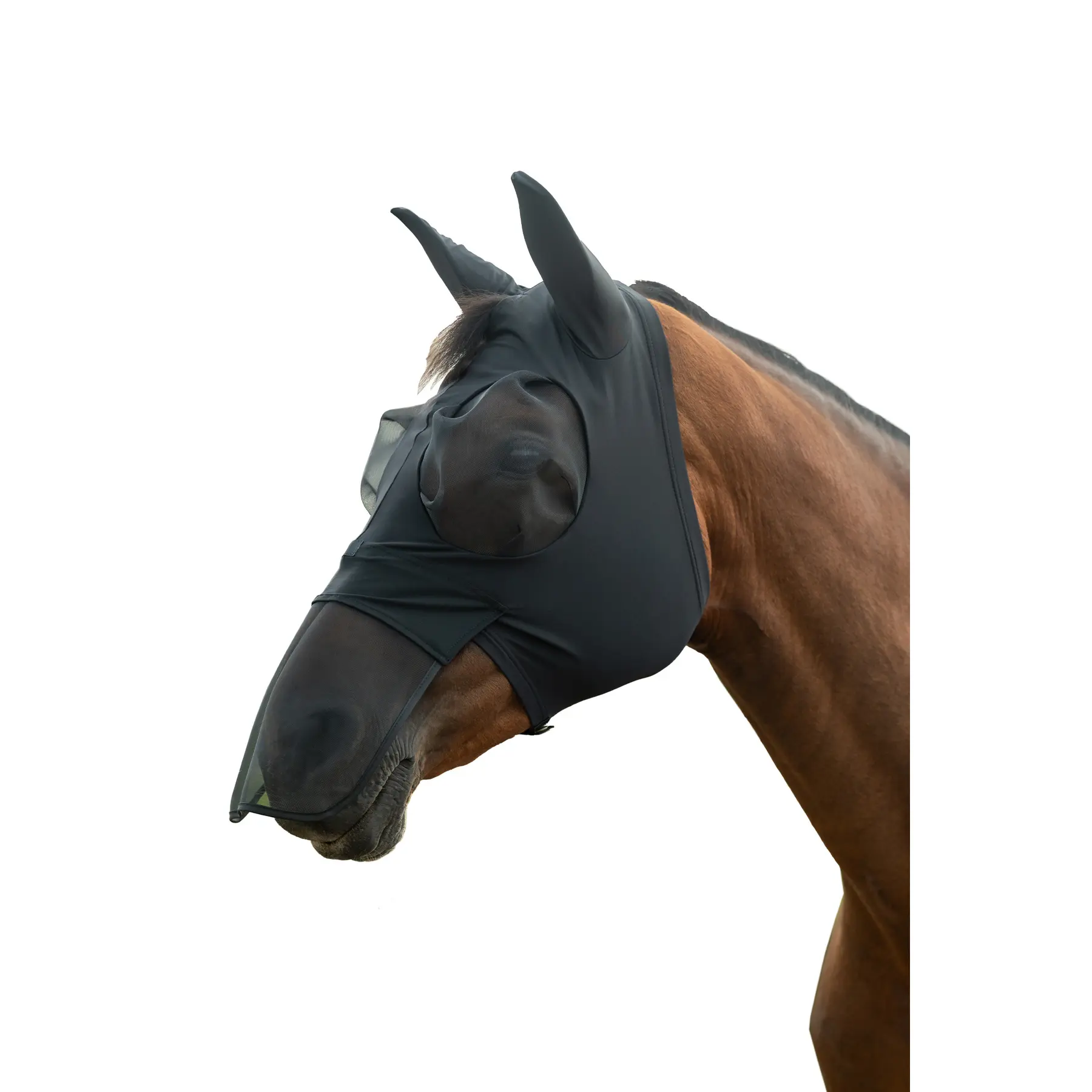 Masque anti-mouches pour cheval élastique avec protection naseaux HKM