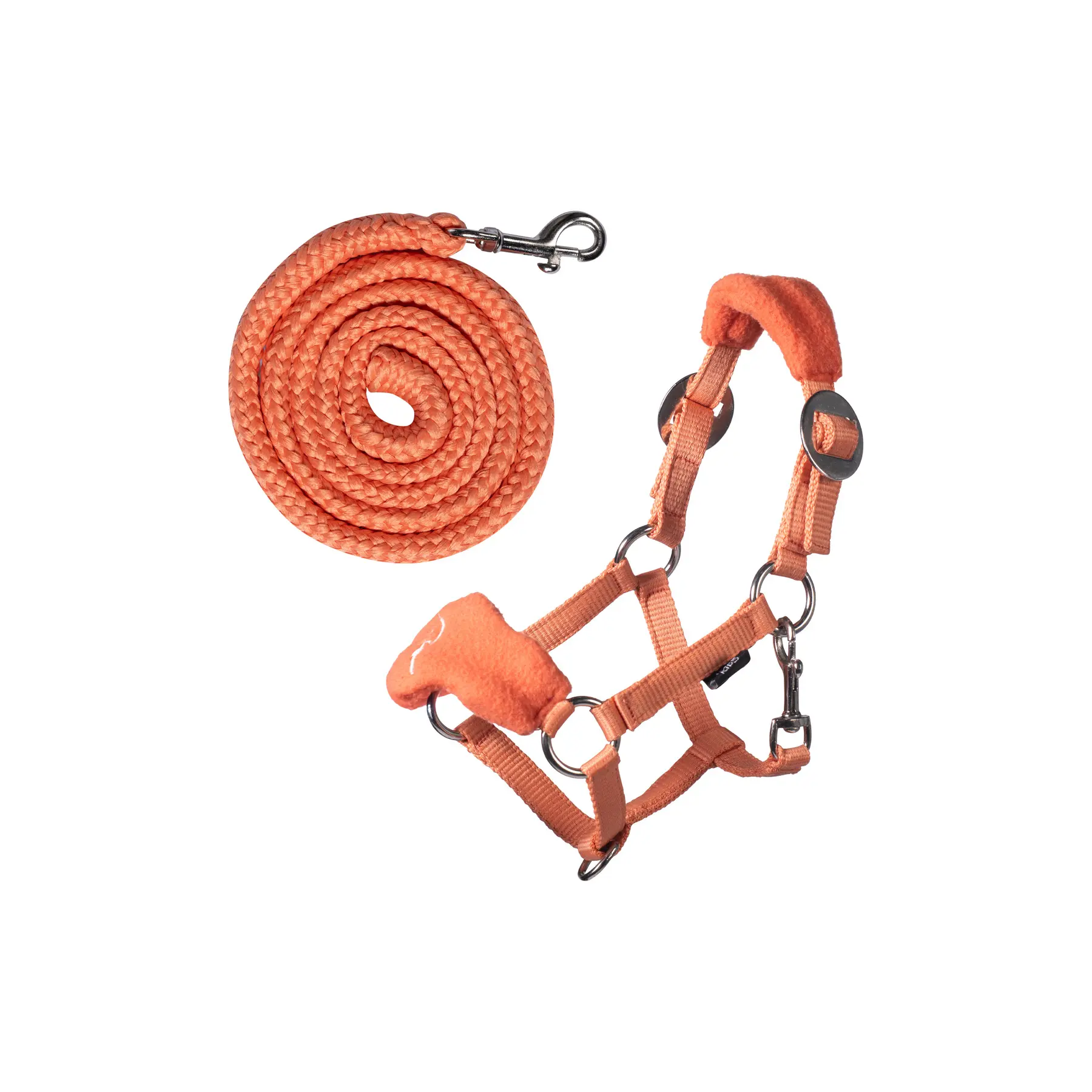 Licol pour hobby Horse HKM Kids