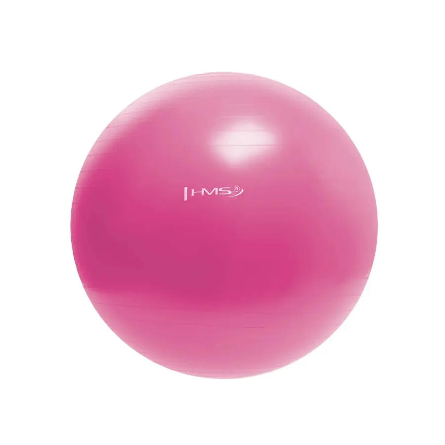 Hms Unisex Rose New Gym Ball Yb01