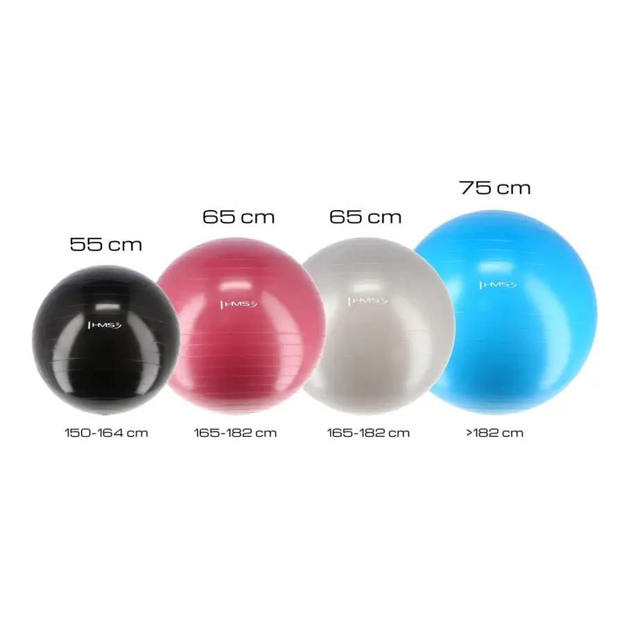Hms Unisex Noir New Gym Ball Yb01