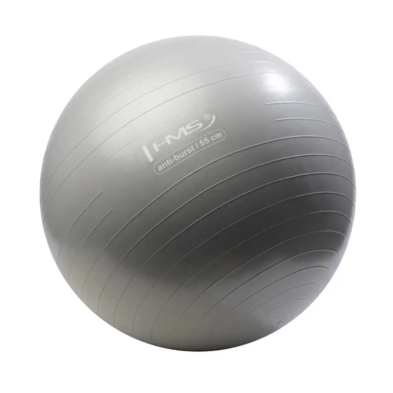 Hms Unisex Gris New Gym Ball Yb02