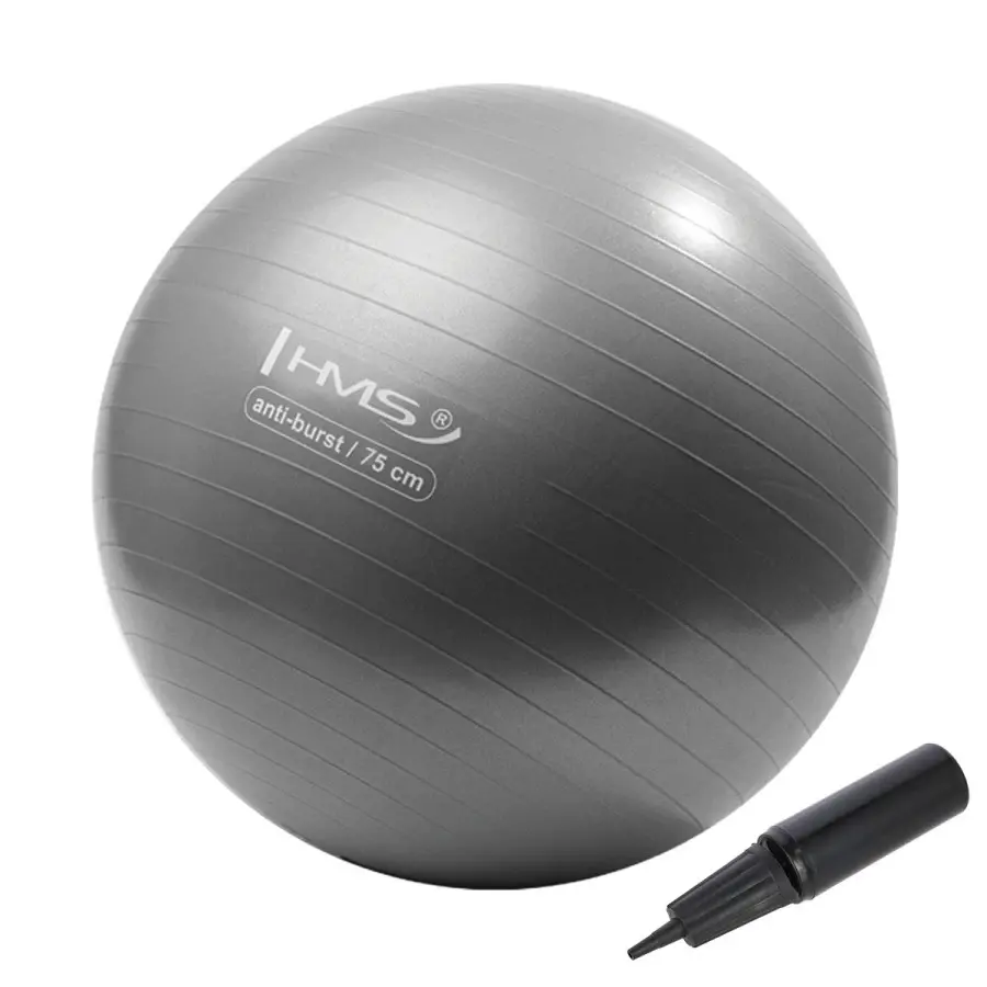 Hms Unisex Gris New Gym Ball Yb02