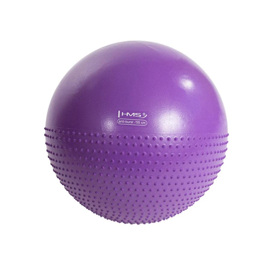 product/h/m/hms_17-42-183_purple_2.jpg