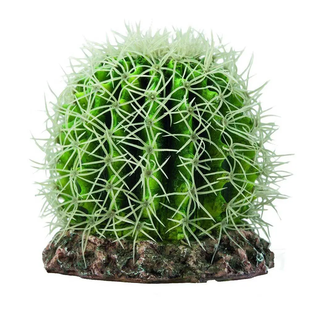 Meilleurs prix pour Décoration de terrarium cactus Hobby Sonora
