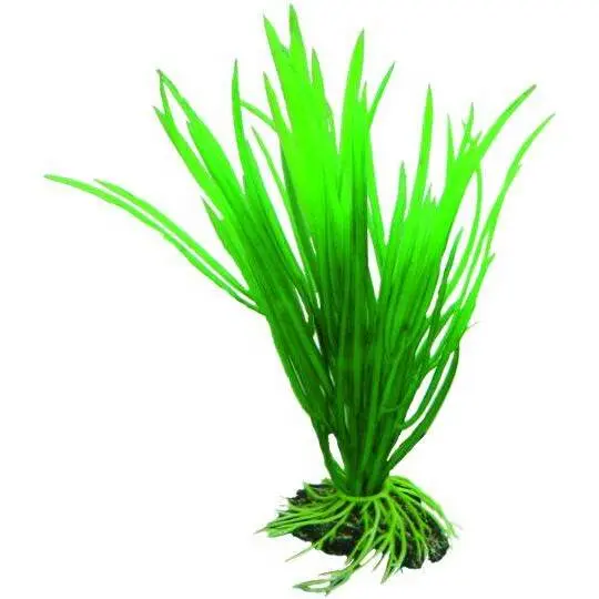 Accessoire pour aquarium Hobby Cyperus