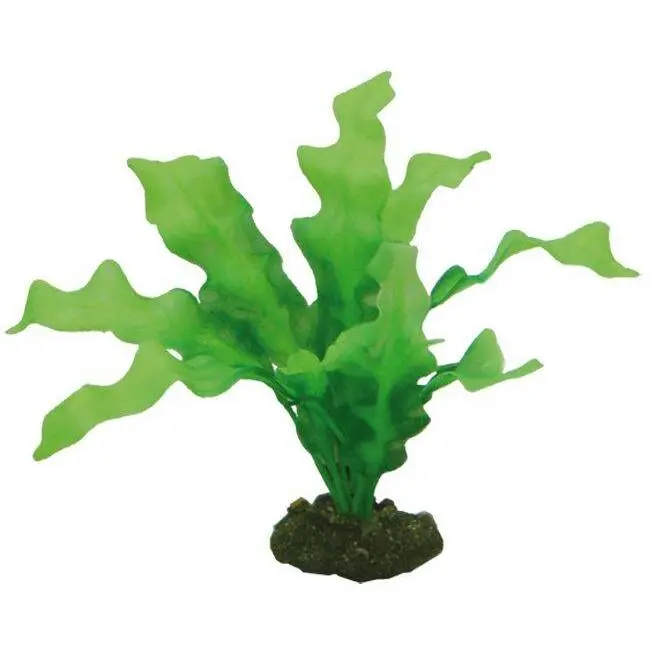 Hobby Vert Aquarium Accessories Echinodrus