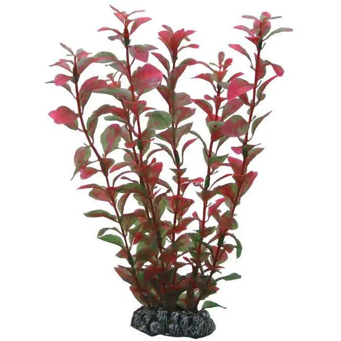 Accessoire pour aquarium Hobby Ludwigia