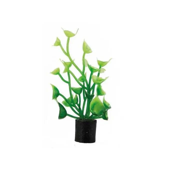 Meilleurs prix pour Décoration pour aquarium Hobby Cardamine mini