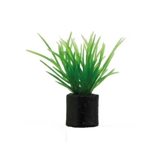 Meilleurs prix pour Décoration pour aquarium Hobby Eleocharis
