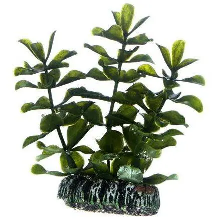 Accessoire pour aquarium Hobby Bacopa