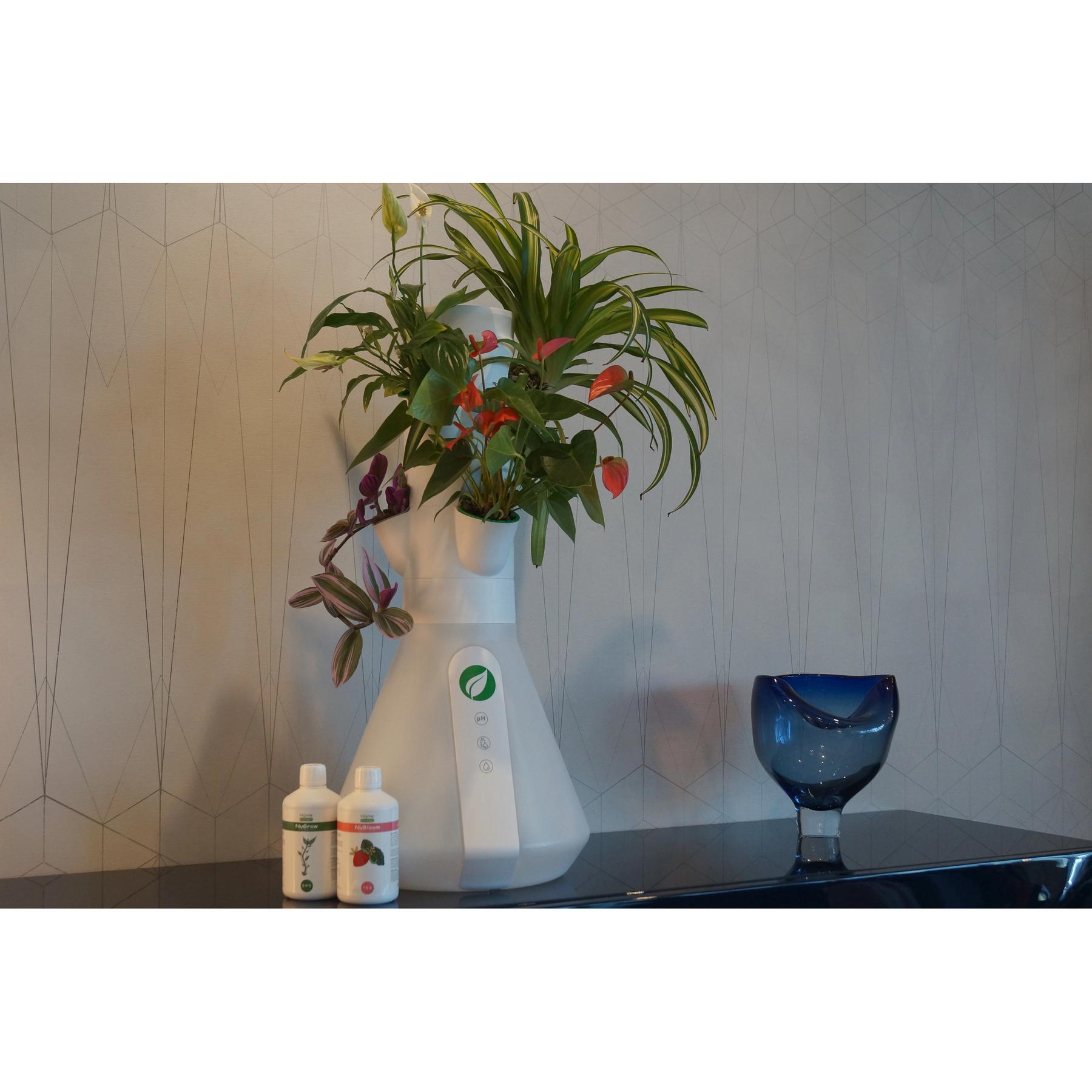 3770013263101 - Indoor-Gemüsegarten 6 Kulturen Home Potager