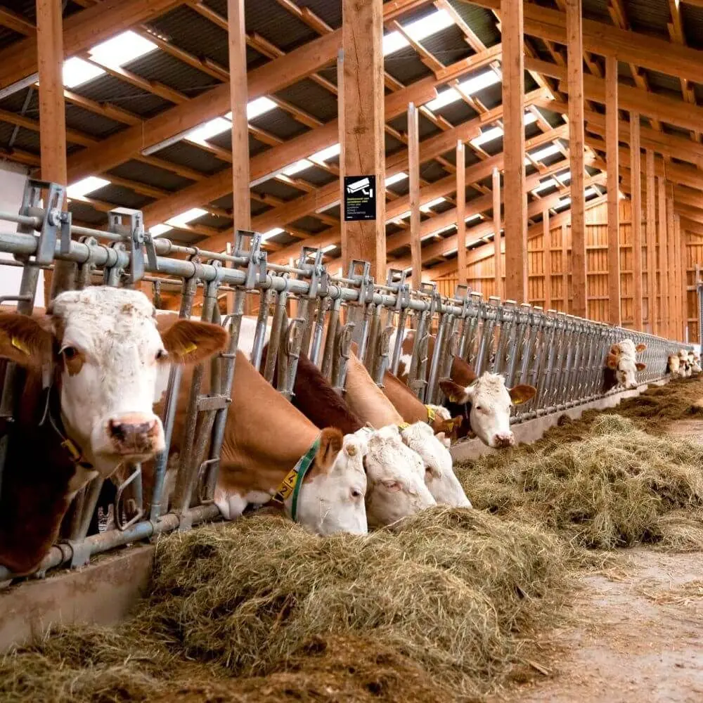 Meilleurs prix pour Plaque d'avertissement pour caméras de surveillance Horizont