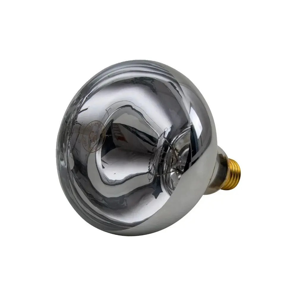 Meilleurs prix pour Ampoule chauffante Horizont