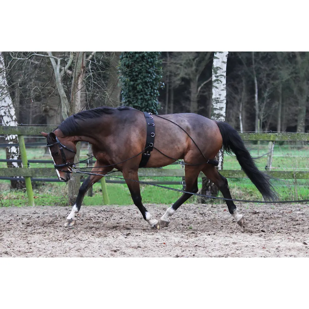 Comparer les prix de Aide de longe Pessoa Horka