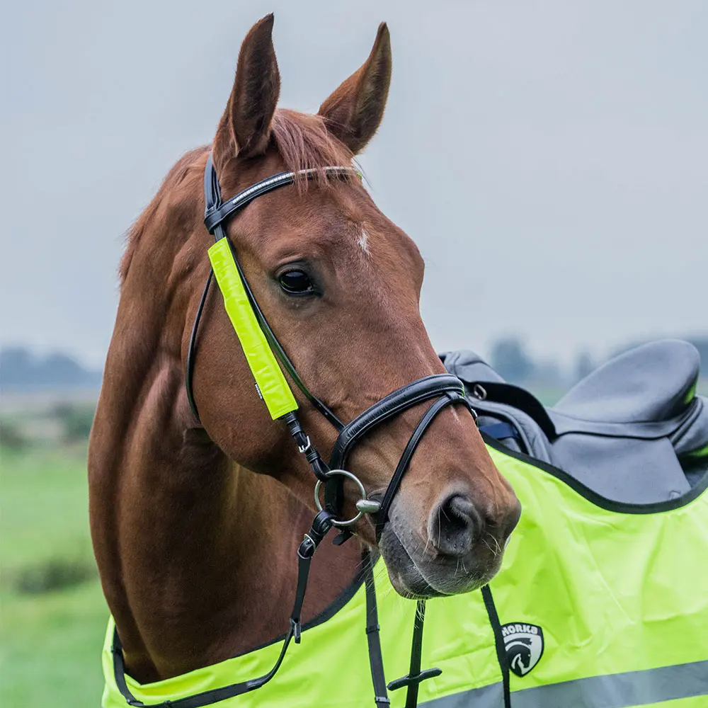 Comparer les prix de Paire de bridons /couvre rênes réfléchissant Horka