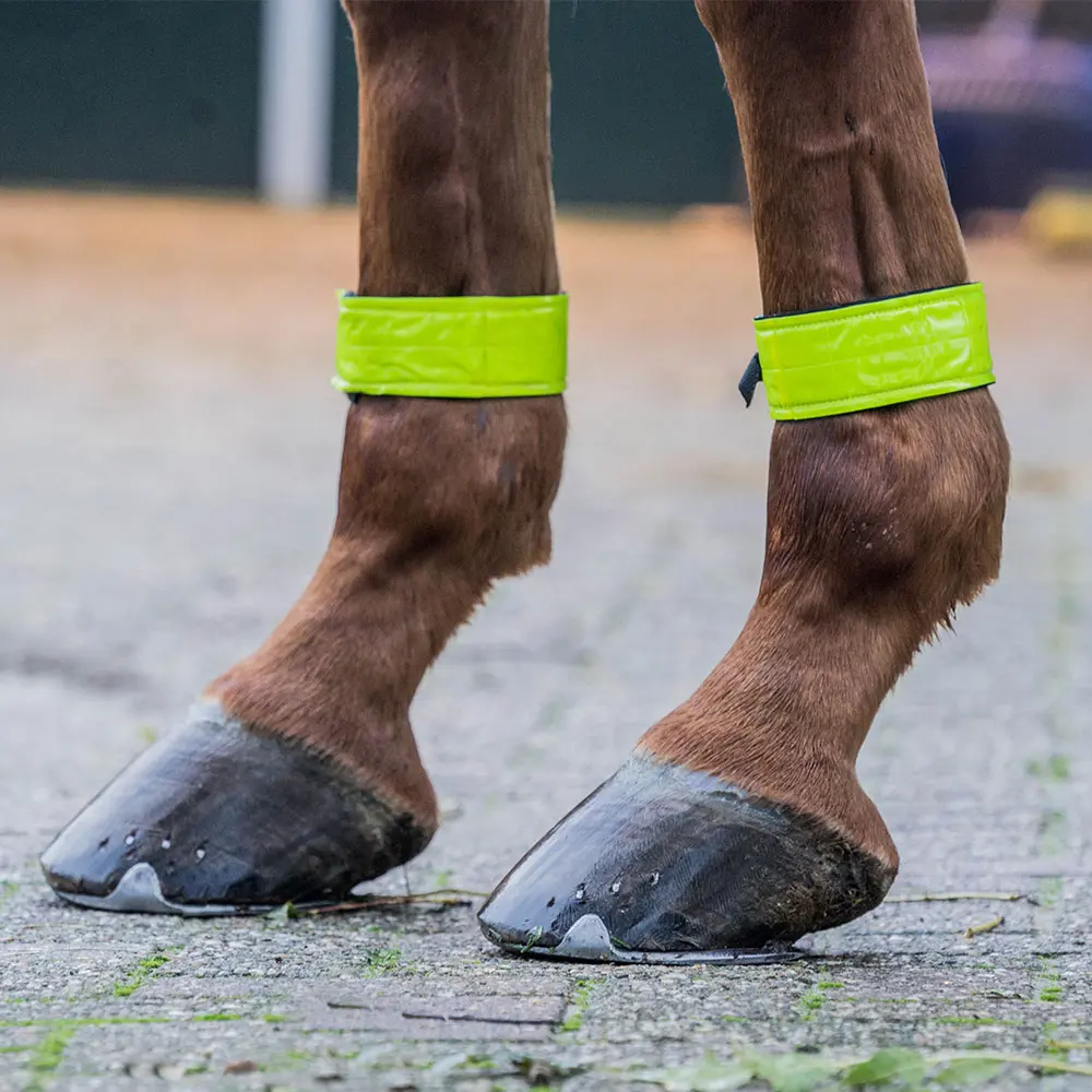 Comparer les prix de Paire de bandages autoadhésif refléchissant Horka