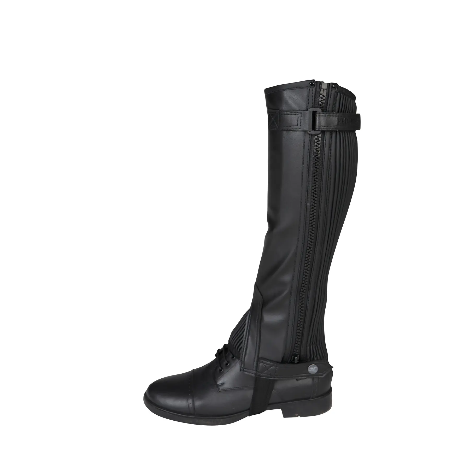 Meilleurs prix pour Chaps Red Horse Rexion