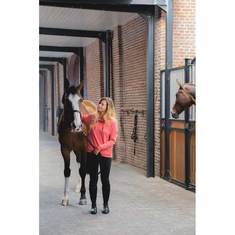 Comparer les prix de Sweatshirt à capuche femme Horse Pilot Team