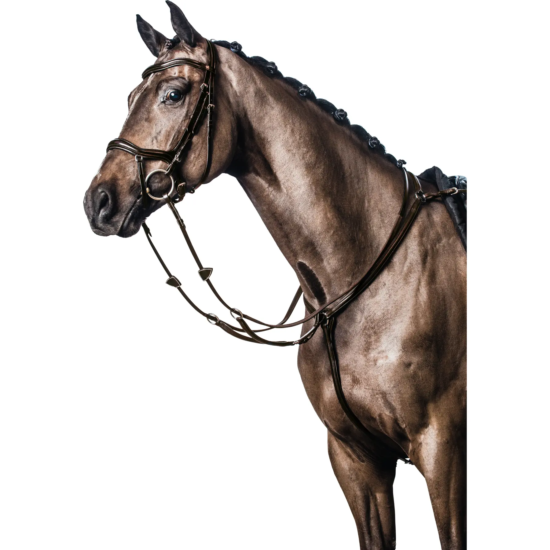Meilleurs prix pour Plastron en cuir souple HorseGuard