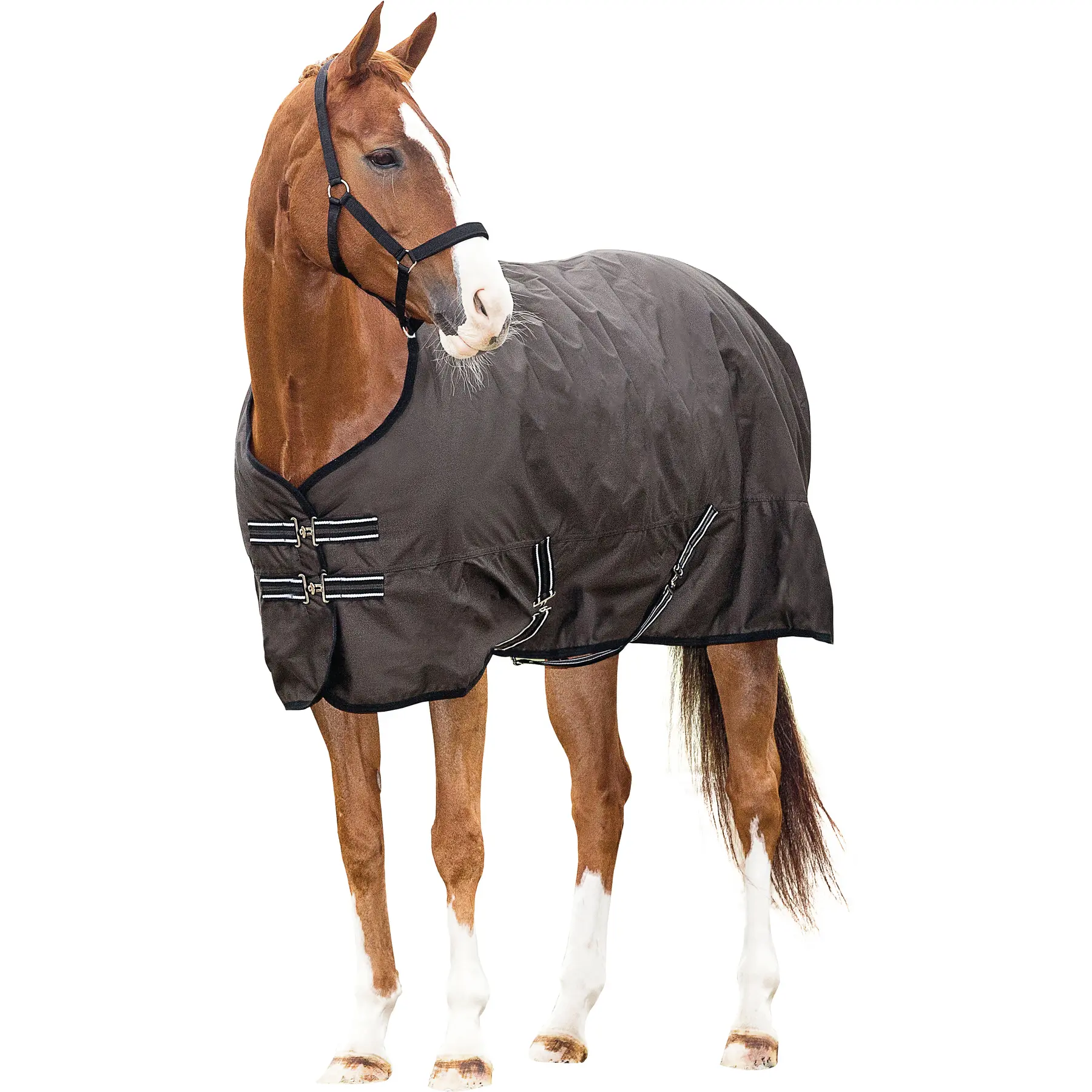 Comparer les prix de Couverture d'extérieur pour cheval HorseGuard 600D 200 g