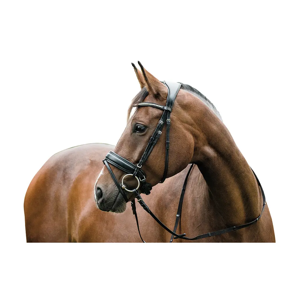 Bridons équitation HorseGuard Ergo