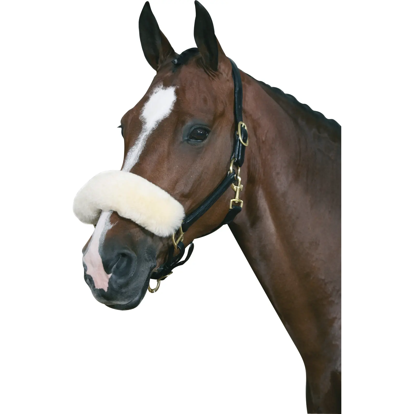 Meilleurs prix pour Fourreau de muserolle HorseGuard