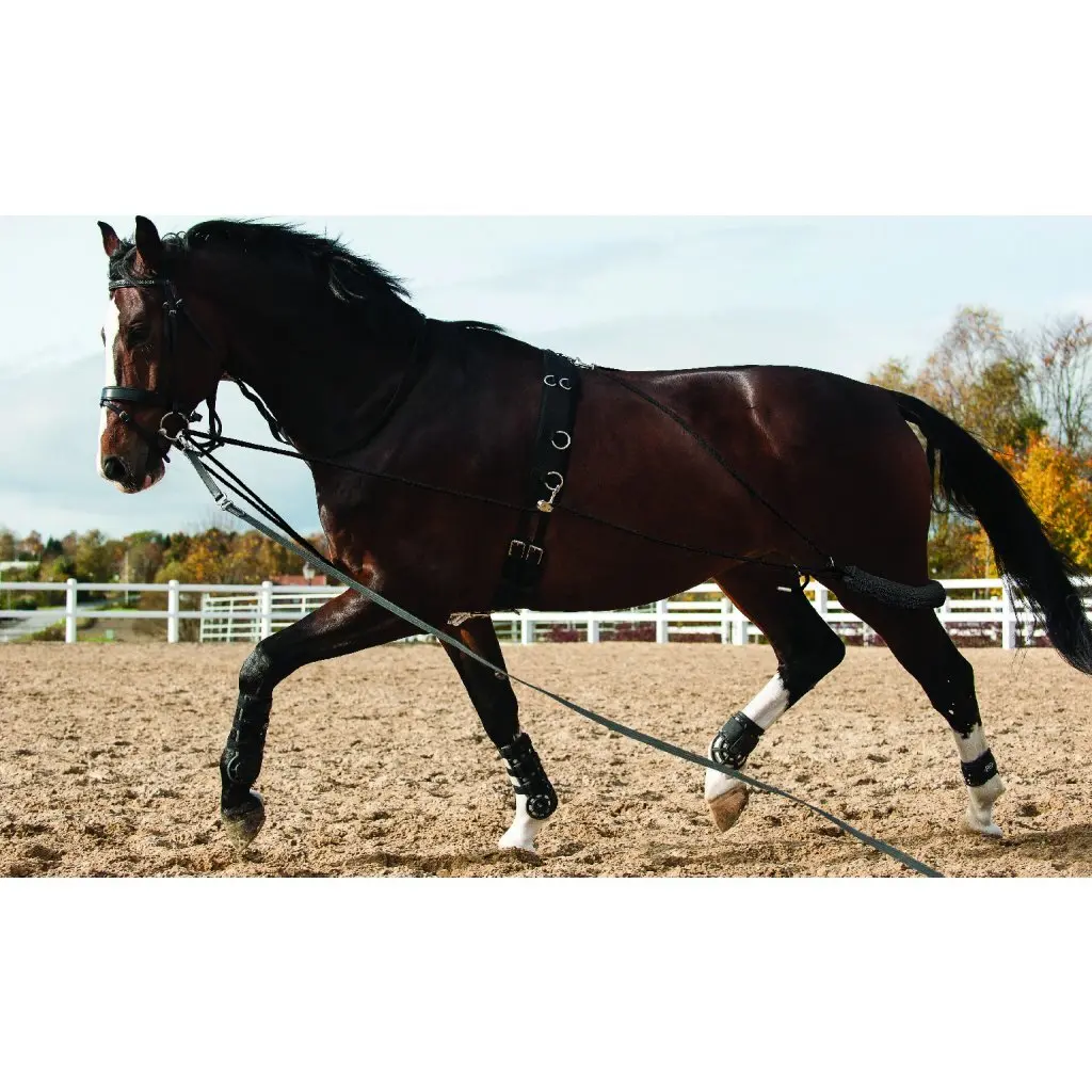 Comparer les prix de Longe équitation HorseGuard System