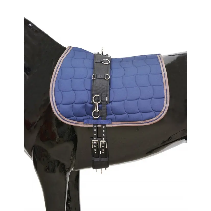 Horseguard Noir Horse Surfaix