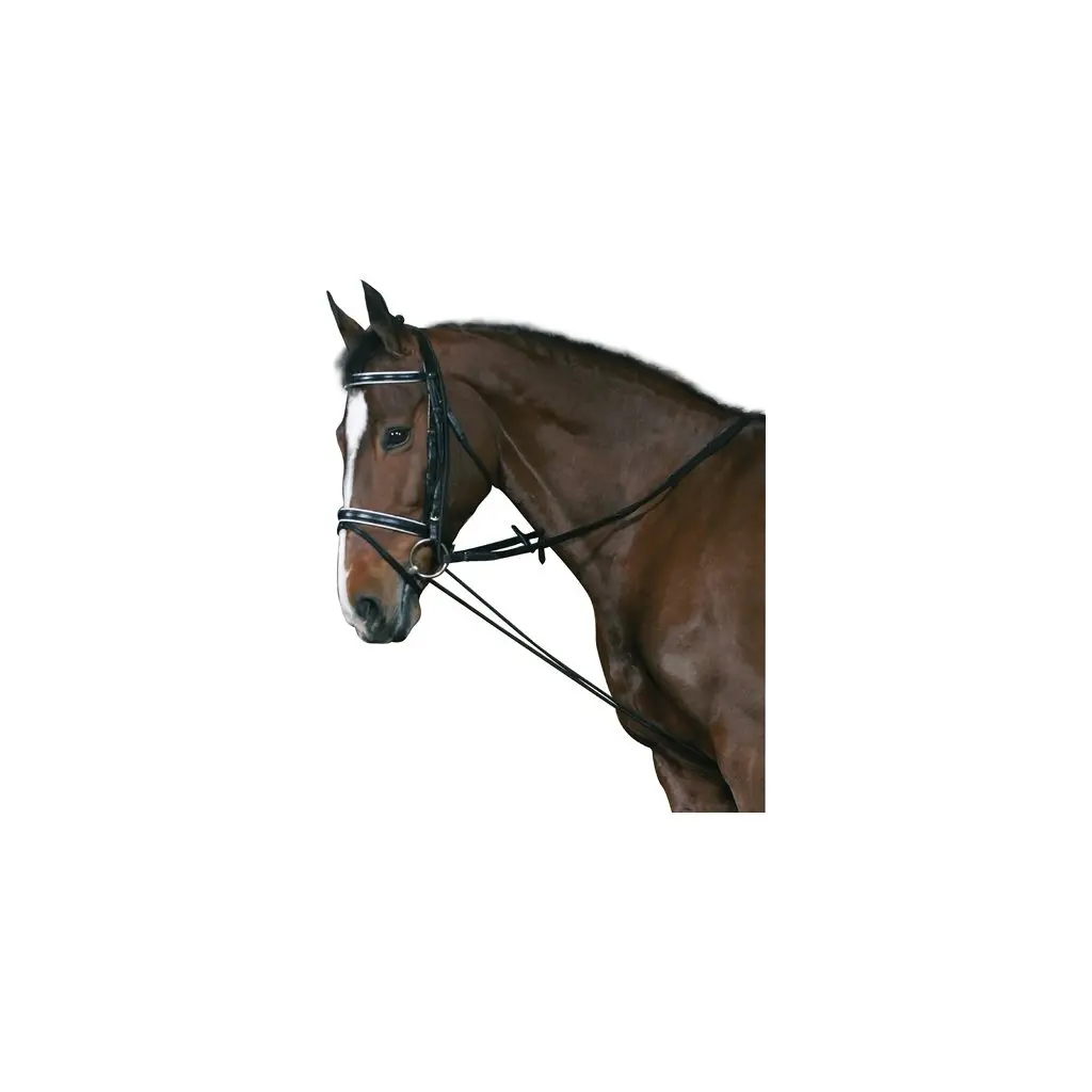 Comparer les prix de Chambon pour cheval élastique HorseGuard