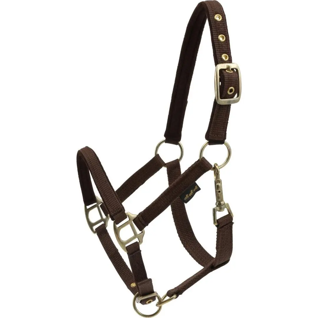 Comparer les prix de Licol pour cheval en nylon rembourré HorseGuard