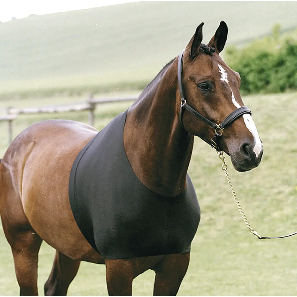 Comparer les prix de Protection de poitrail cheval HorseGuard