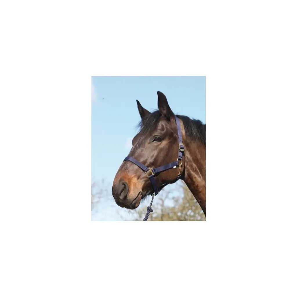 Horseguard Bleu Nylon Horse Halter