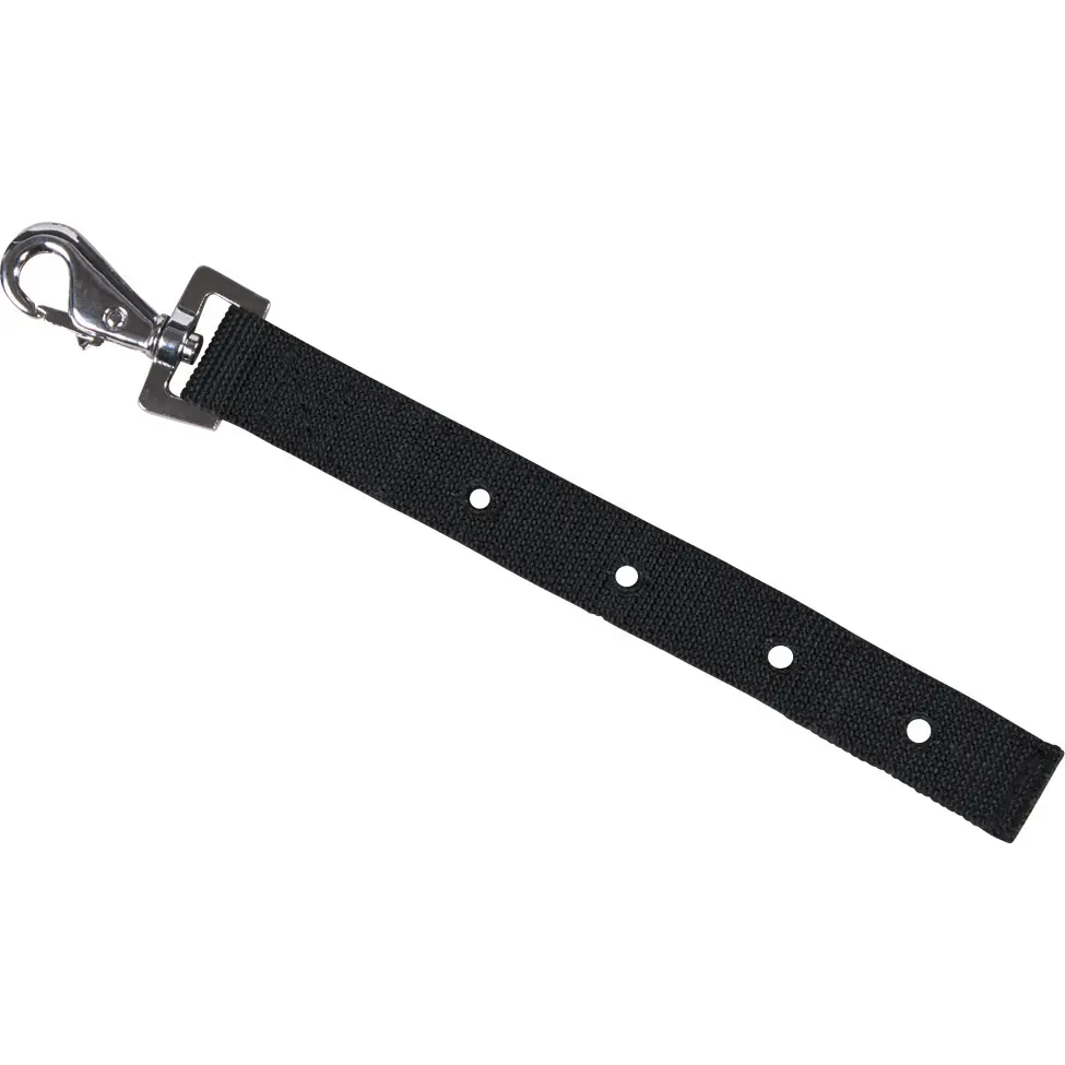 Meilleurs prix pour Strap HorseGuard Web