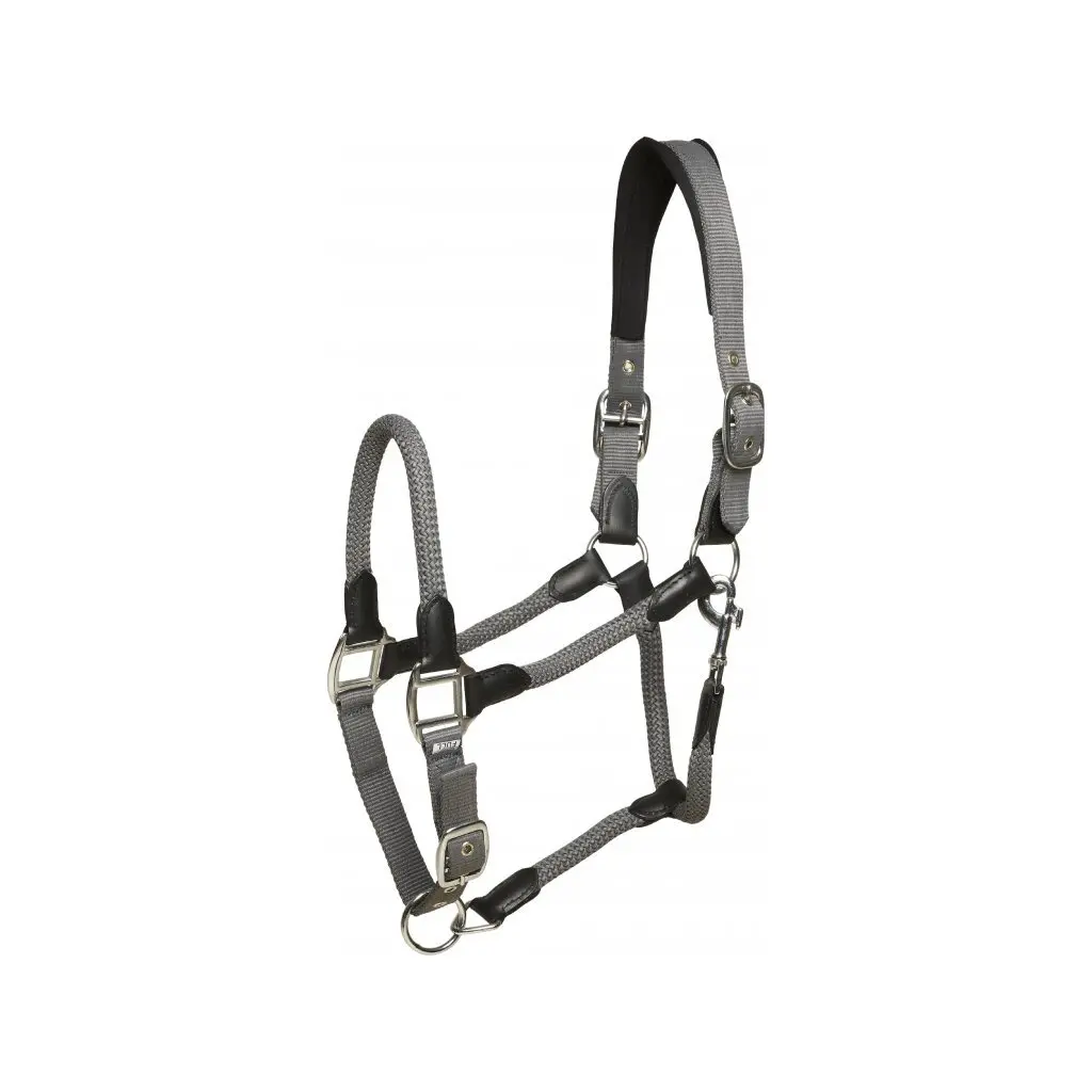 Meilleurs prix pour Licol pour cheval en cuir HorseGuard Jean