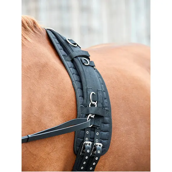 Meilleurs prix pour Tapis de longe pour cheval HorseGuard Kali