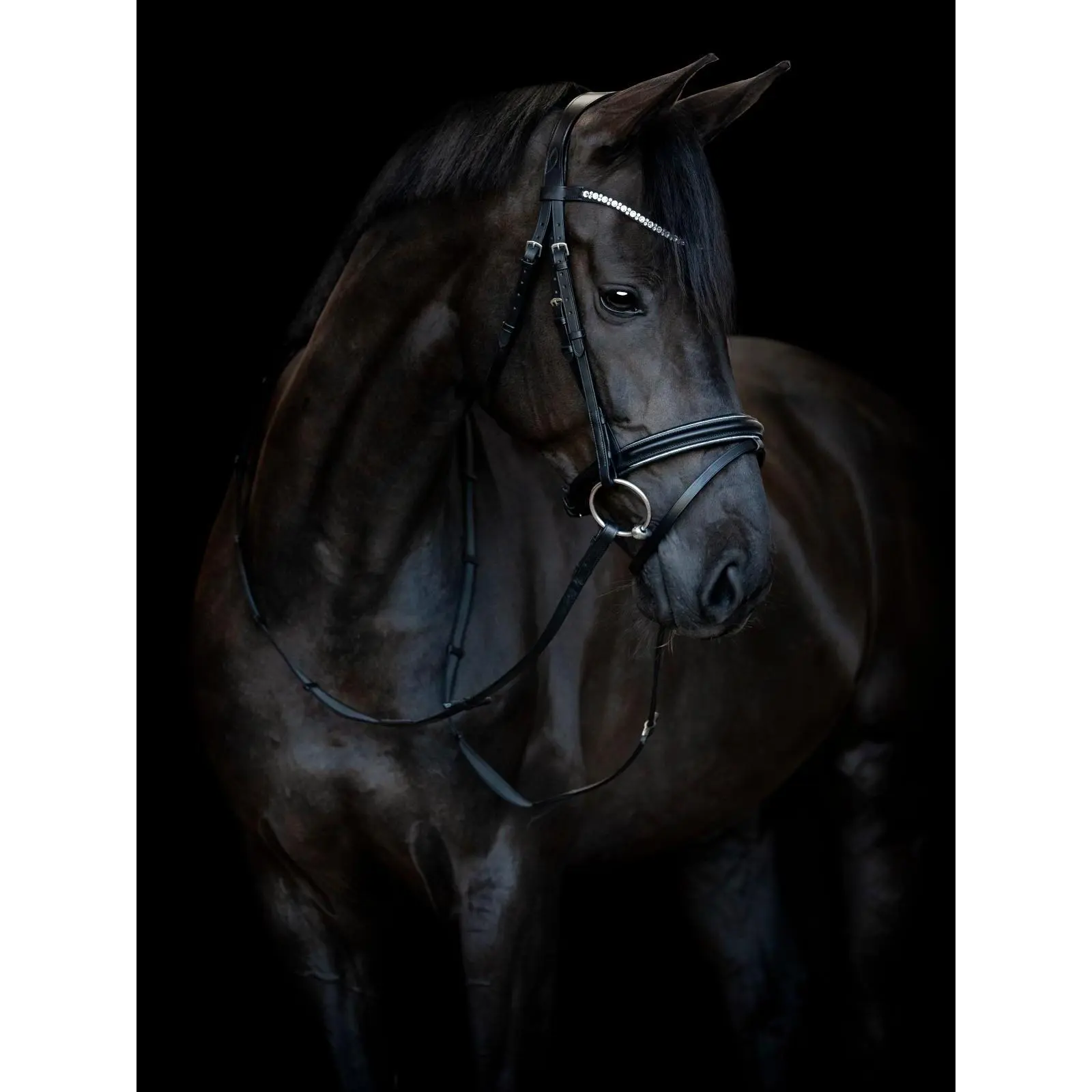 Meilleurs prix pour Bridon équitation muserolle combinée HorseGuard Emi 25.1