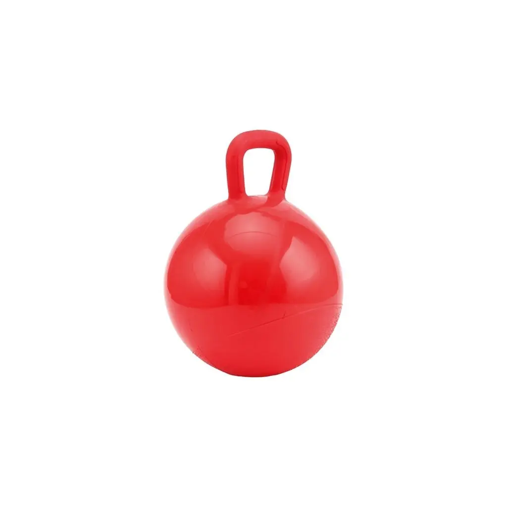 Comparer les prix de Ballon de jeu pour cheval HorseGuard