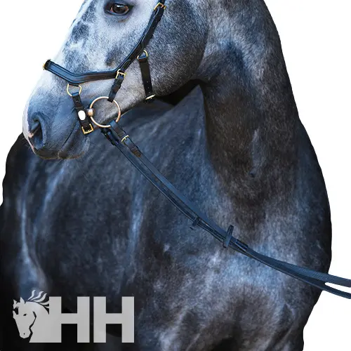 Meilleurs prix pour Rênes pour cheval Horseware Micklem