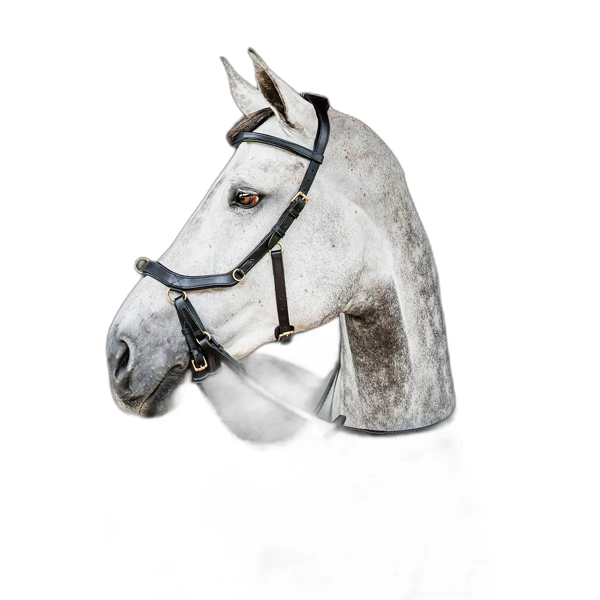 Comparer les prix de Bridon équitation sans rênes Horseware Micklem 2 Multibridle