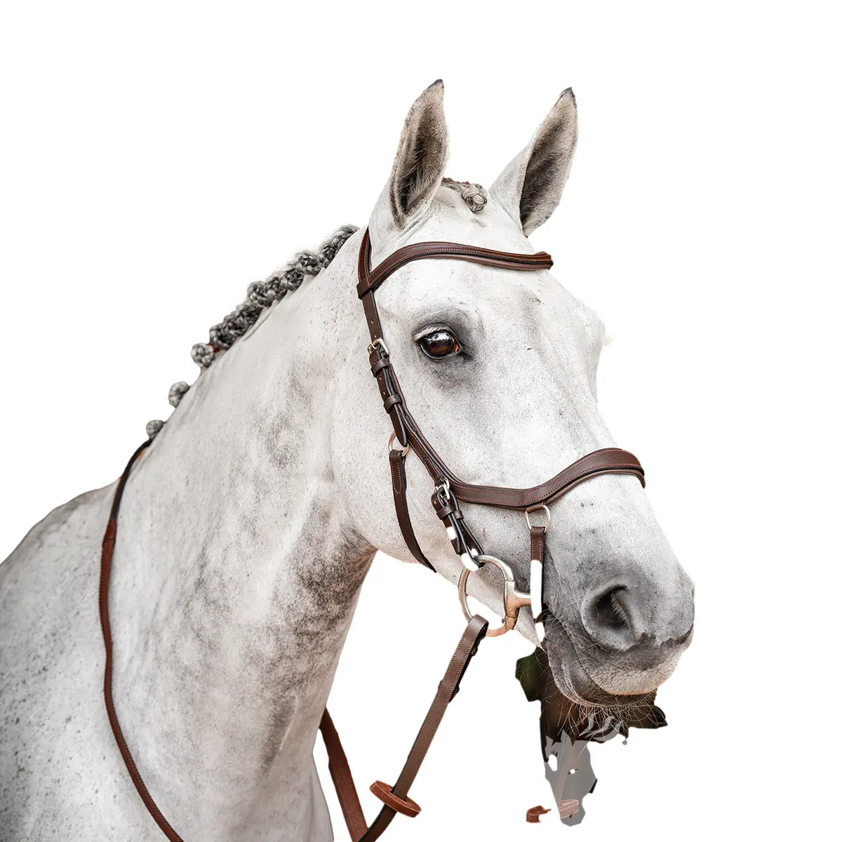 Bridon équitation sans rênes Horseware Micklem 2