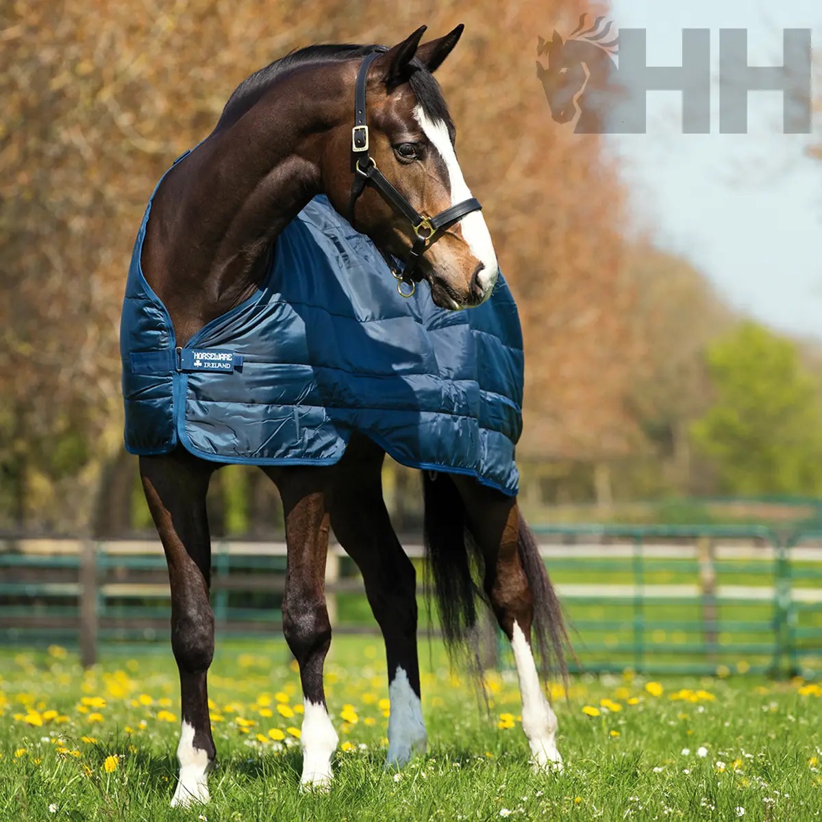 Sous-couverture pour cheval Horseware Bajomanta Liner 300g