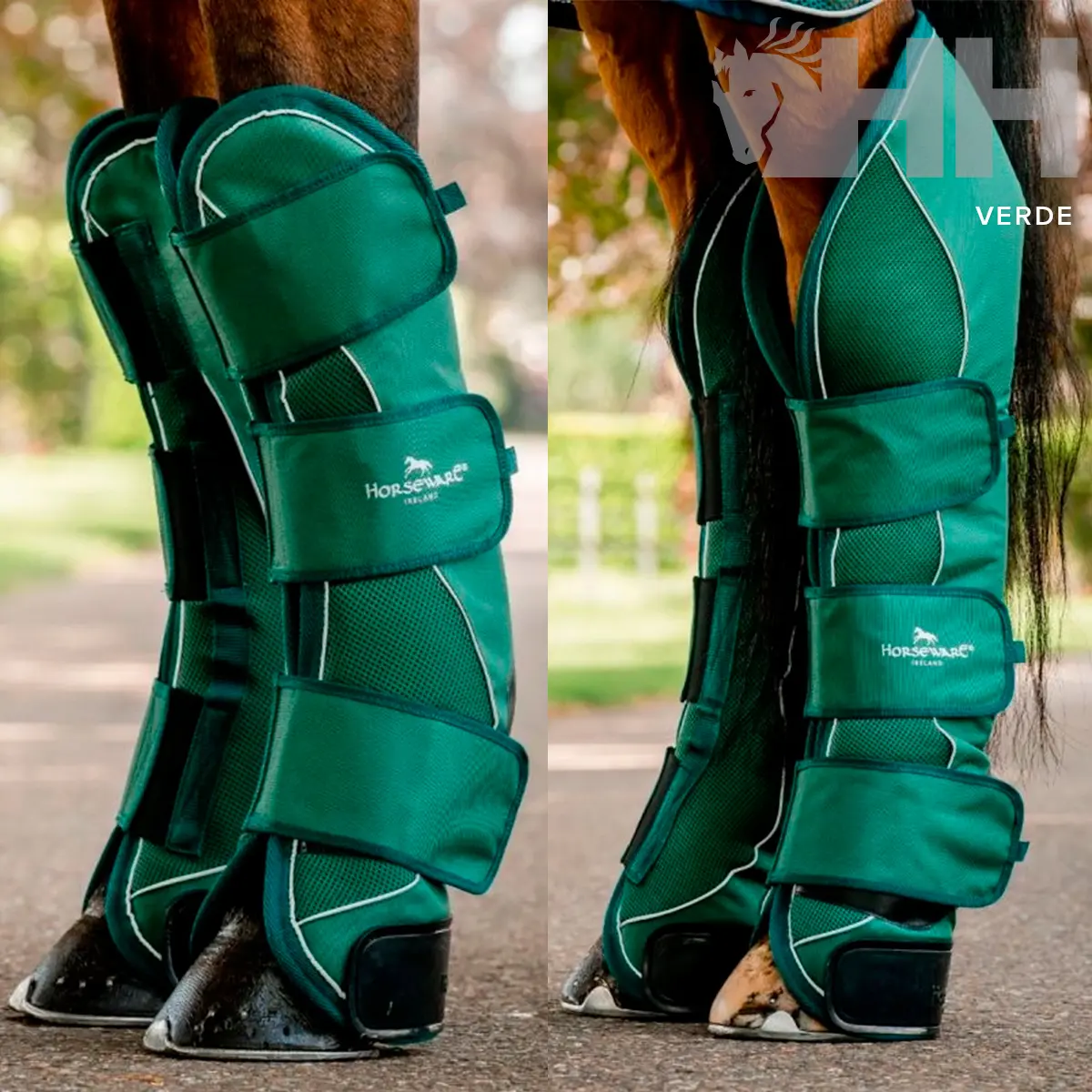 Meilleurs prix pour Guêtres fermées pour cheval Horseware Signature (x4)