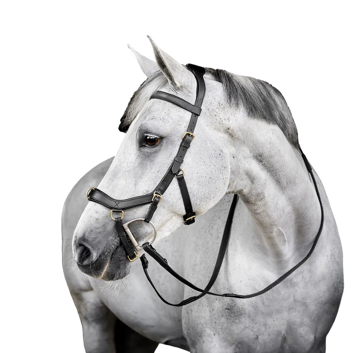 Comparer les prix de Bride équitation Horseware Micklem