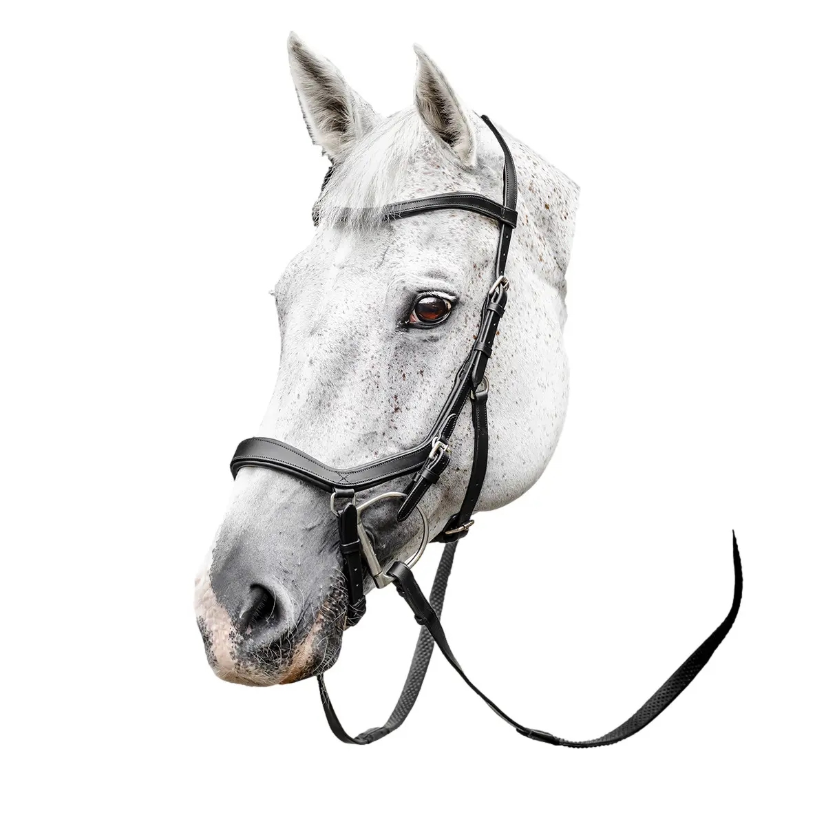 Comparer les prix de Bride d'équitation anatomique Horseware Micklem