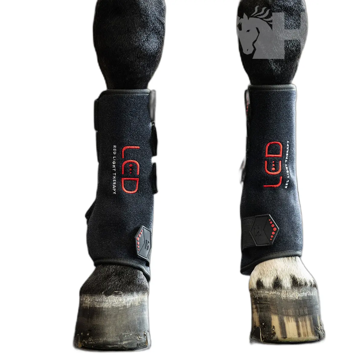 Meilleurs prix pour Guêtres pour cheval gauche Horseware LED Red Light