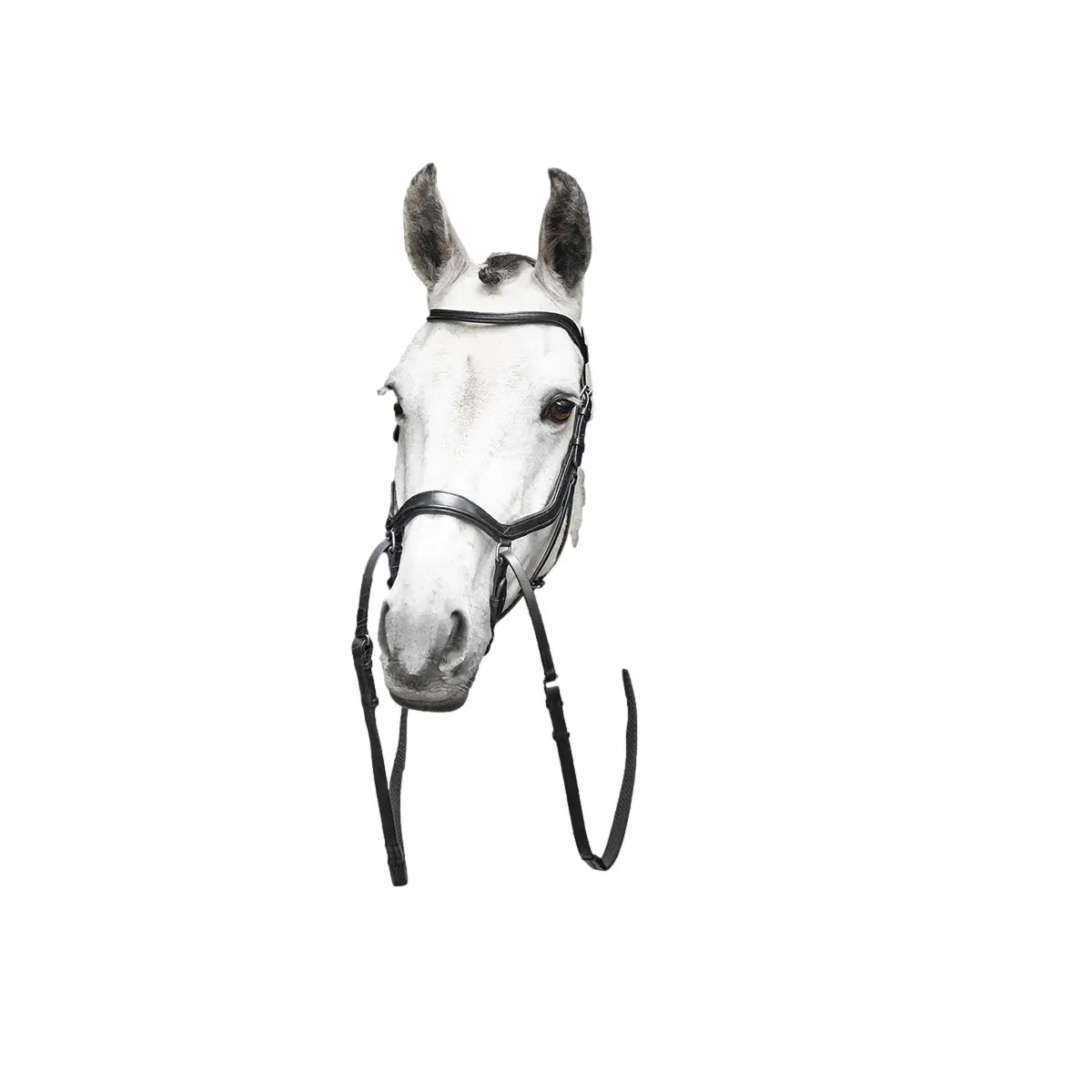 Meilleurs prix pour Bride équitation sans mors Horseware Micklem