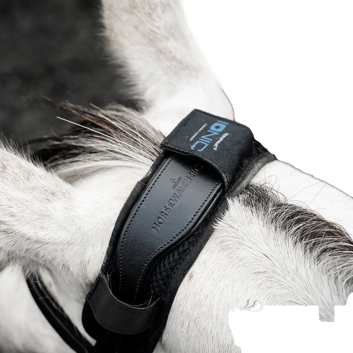 Comparer les prix de Protection de têtière pour cheval Horseware