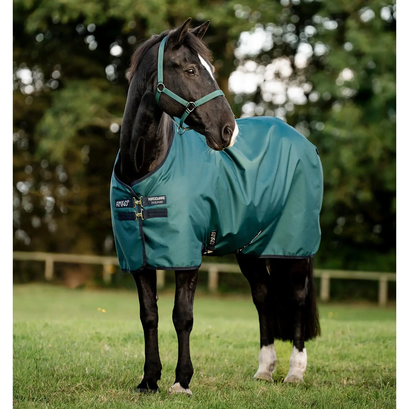 Comparer les prix de Couverture d'extérieur pour poney imperméable Horseware Amigo Ripstop 900D 200g