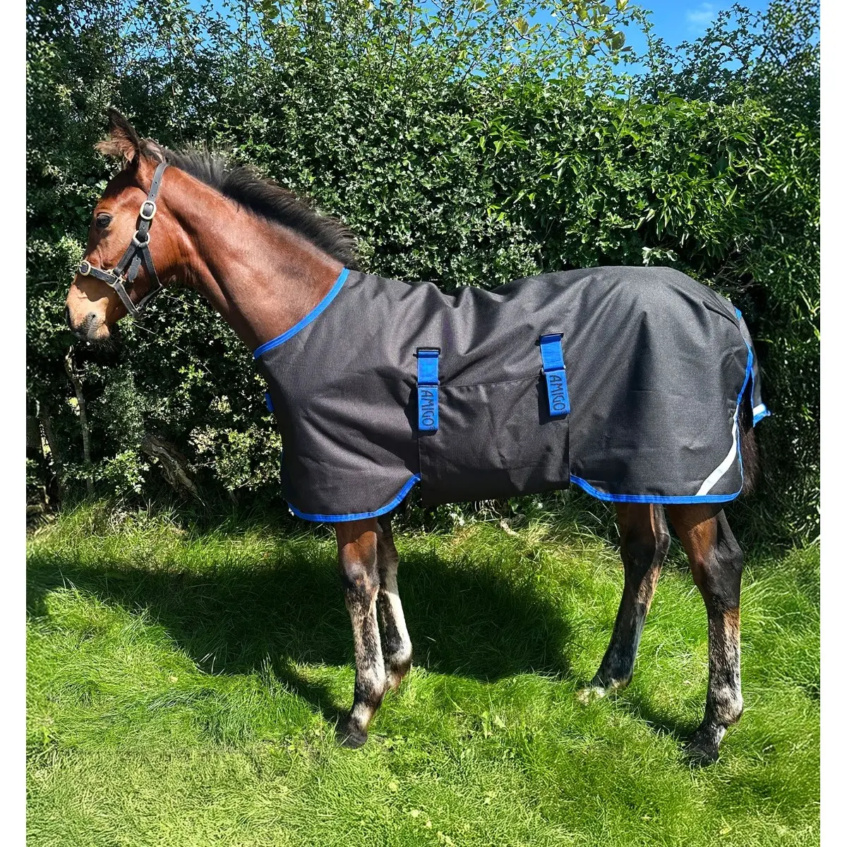 Couverture d'extérieur pour poulain Horseware Amigo Ripstop 900D 200g
