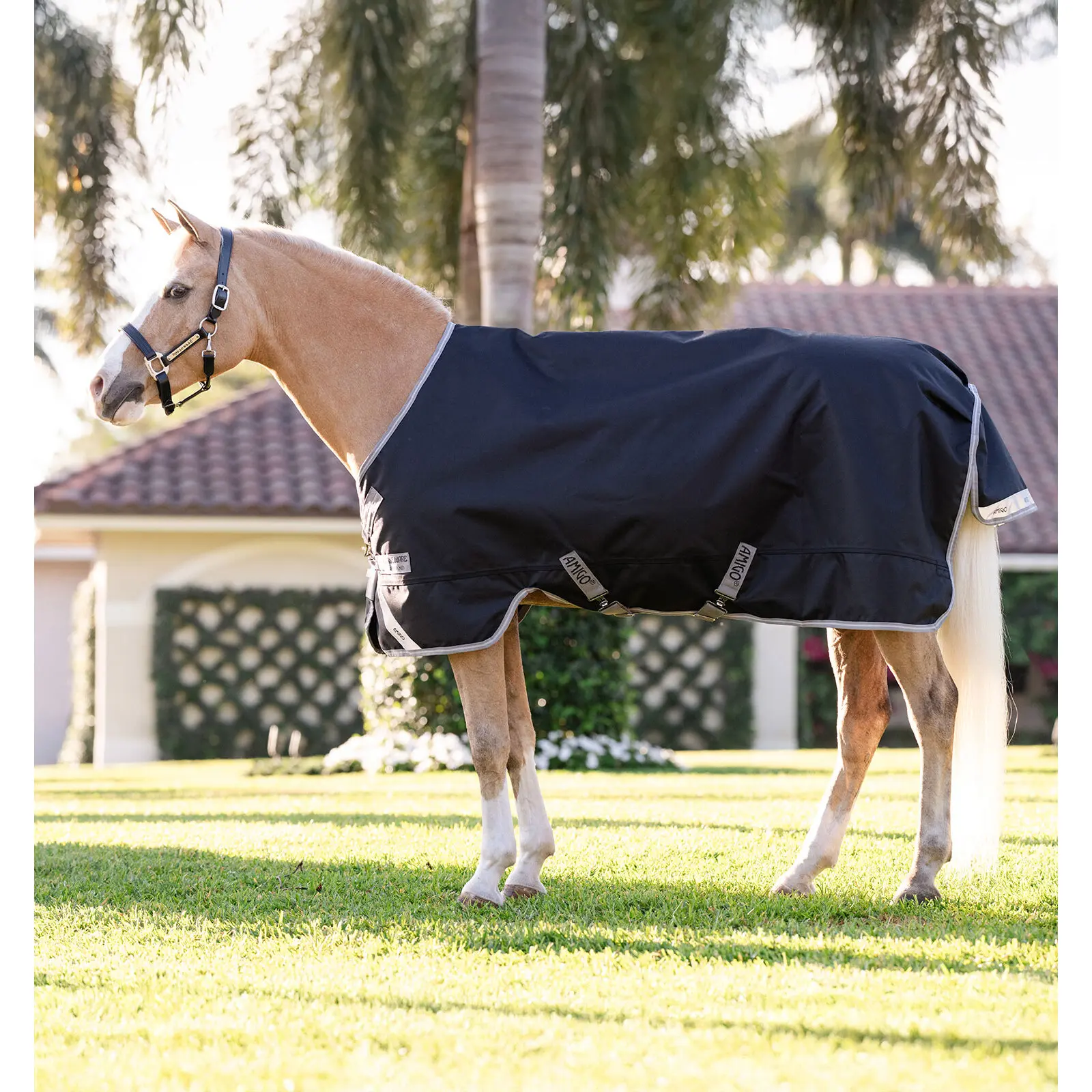 Comparer les prix de Couverture d'extérieur pour poney Horseware Amigo 1200D 0g